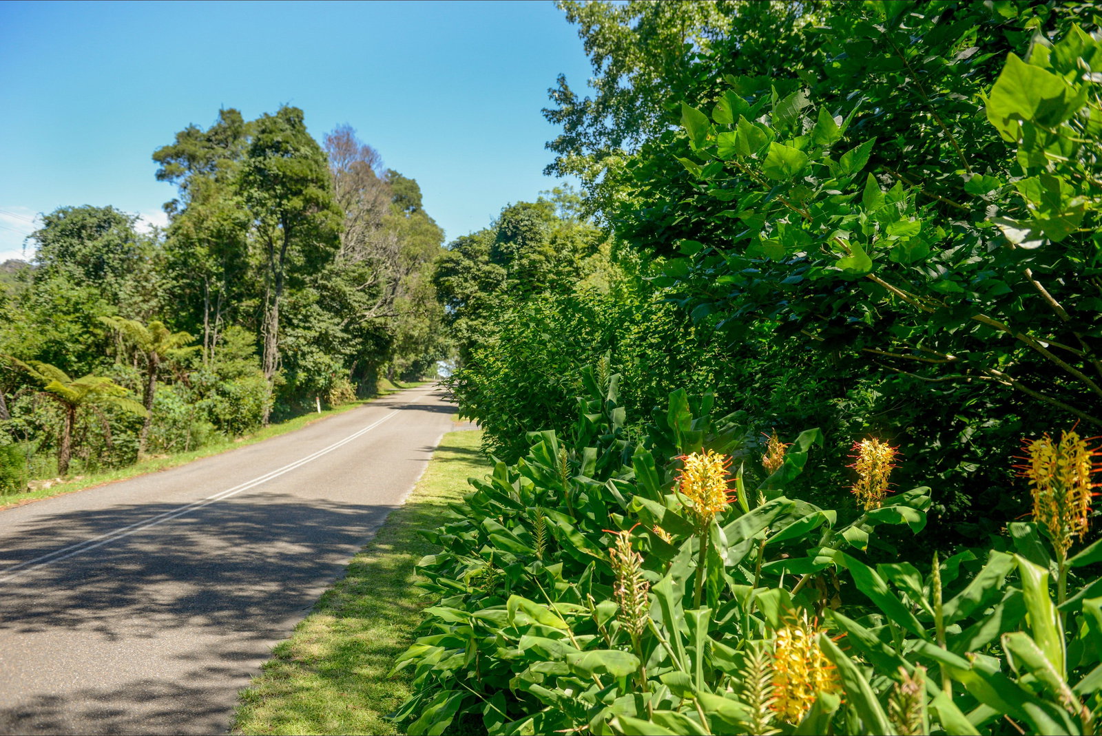 Broughton Vale NSW Attractions Brisbane