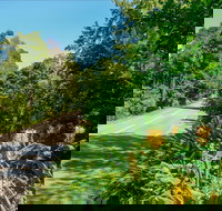 Broughton Vale - Attractions Brisbane