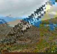Burrowa-Pine Mountain National Park - Attractions Brisbane