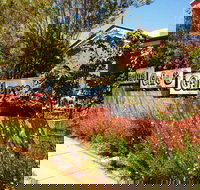 Cactus Cafe and Gallery - Attractions Brisbane