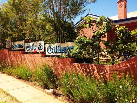 Cactus Cafe And Gallery - Attractions Brisbane 0