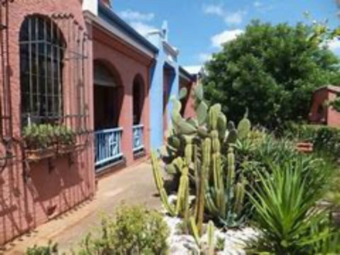 Cactus Cafe And Gallery - Attractions Brisbane 1