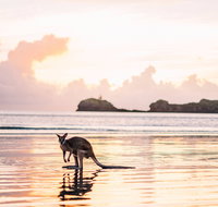 Cape Hillsborough  A Low Tide Fishing Adventure - Attractions Brisbane