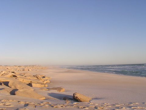 Chadinga Conservation Park - Attractions Brisbane 0