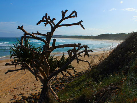 Clay Head - Attractions Brisbane 2