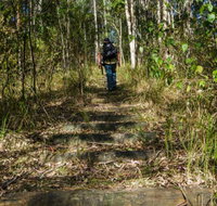 Cliff Face track - Attractions Brisbane