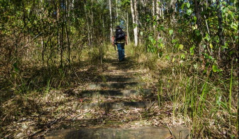 Cliff Face Track - Attractions Brisbane 0