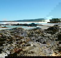 Coastal Walks - Bermagui - Attractions Brisbane