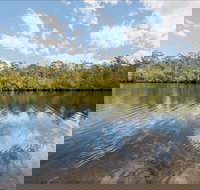 Cockatoo picnic area - Attractions Brisbane