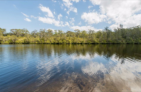 Cockatoo Picnic Area - Attractions Brisbane 0