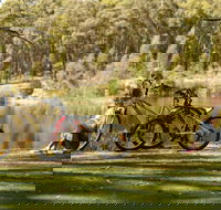Creswick Regional Park - Attractions Brisbane
