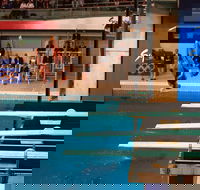 Dive Into History at Sydney Olympic Park Aquatic Centre - Attractions Brisbane