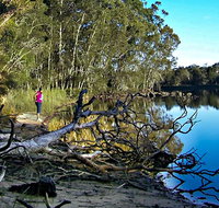 Five Islands Walking Track - Attractions Brisbane