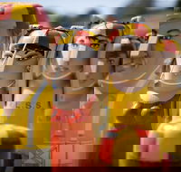 Geelong - Attractions Brisbane