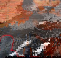 Geelong Street Art - Attractions Brisbane