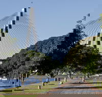 Glebe Foreshore Walk - Attractions Brisbane