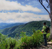Gloucester Falls Walking Track - Attractions Brisbane