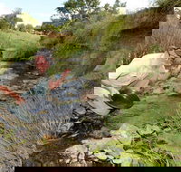 Gold Panning Deep Creek - Attractions Brisbane
