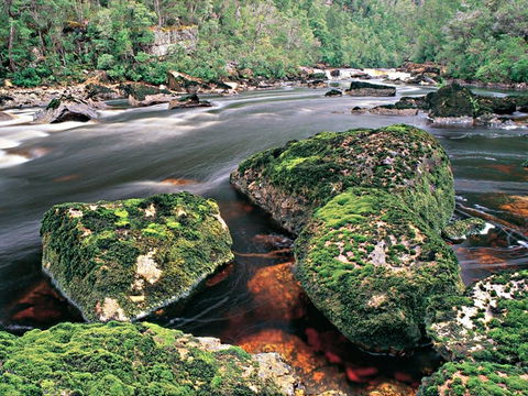 Gordon River - The - Attractions Brisbane 2