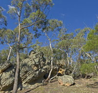 Green track - Attractions Brisbane