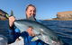 GT Fishing Charters - thumb 0