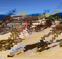 Gundersen Reserve - Attractions Brisbane