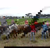 High Country Trail Rides - Attractions Brisbane