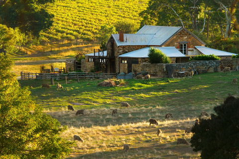 Hutton Vale Farm - Attractions Brisbane 1