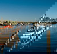 Iluka - Attractions Brisbane