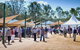 Ivory's Rock Conventions And Events - thumb 2