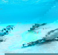 Jurien Bay - Attractions Brisbane