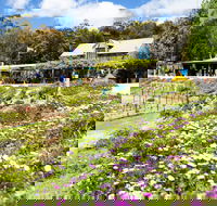 Kate's Berry Farm - Attractions Brisbane