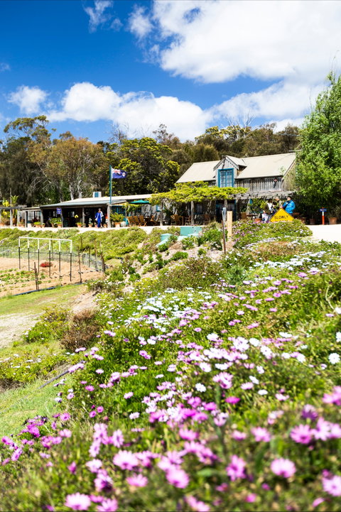 Kate's Berry Farm - Attractions Brisbane 0