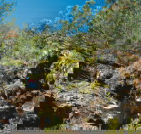 Kroombit Tops National Park - Attractions Brisbane