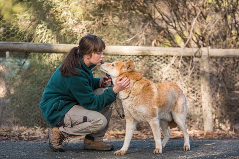 Kyabram Fauna Park - Attractions Brisbane 1