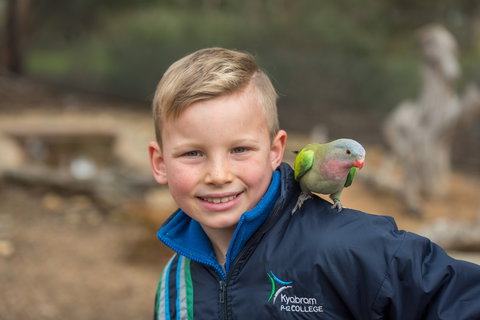 Kyabram Fauna Park - Attractions Brisbane 2