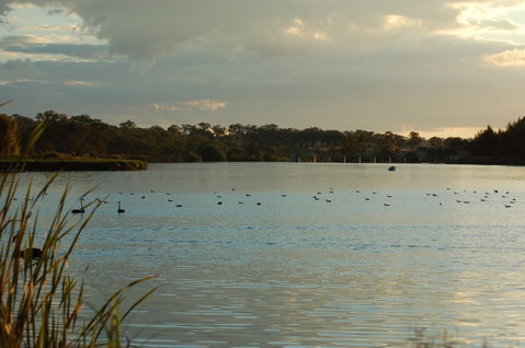 Lake Inverell Reserve - Attractions Brisbane 0