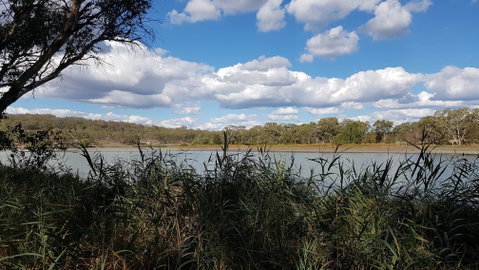 Lake Inverell Reserve - Attractions Brisbane 1