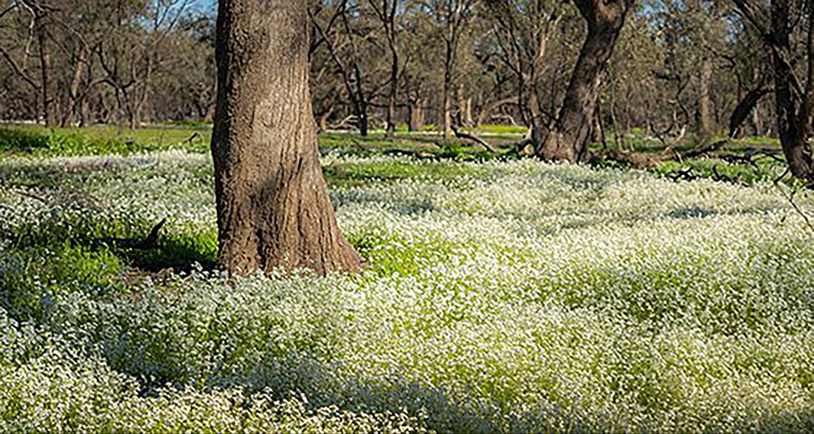 Lake Meran VIC Attractions Brisbane