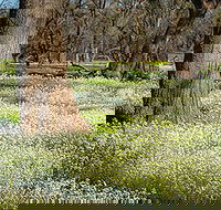 Leaghur State Park - Attractions Brisbane