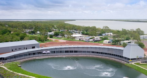 Les Wilson Barramundi Discovery Centre - Attractions Brisbane 0