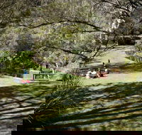 Leura Cascades picnic area - Attractions Brisbane