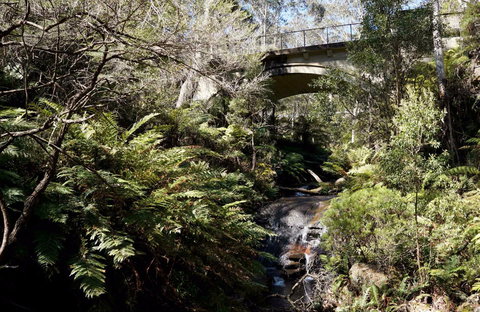 Leura Cascades Picnic Area - Attractions Brisbane 1