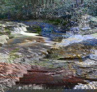 Liffey Falls Reserve - Attractions Brisbane