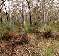 Livingstone National Park - Attractions Brisbane
