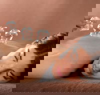 Lotus Blossom - Attractions Brisbane