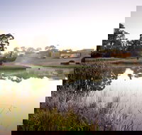 McClelland Sculpture Park  Gallery - Attractions Brisbane