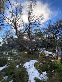Mount Torbreck Summit Walk