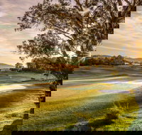 Mount Compass Golf Course - Attractions Brisbane