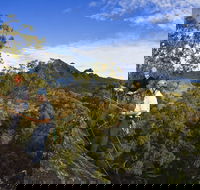 Mount Barney - Attractions Brisbane